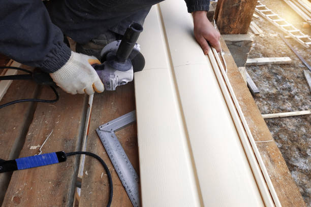 Best Fascia and Soffit Installation  in Lawton, MI